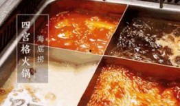 海底捞锅底爆料视频大全,爆料视频大全深度解析